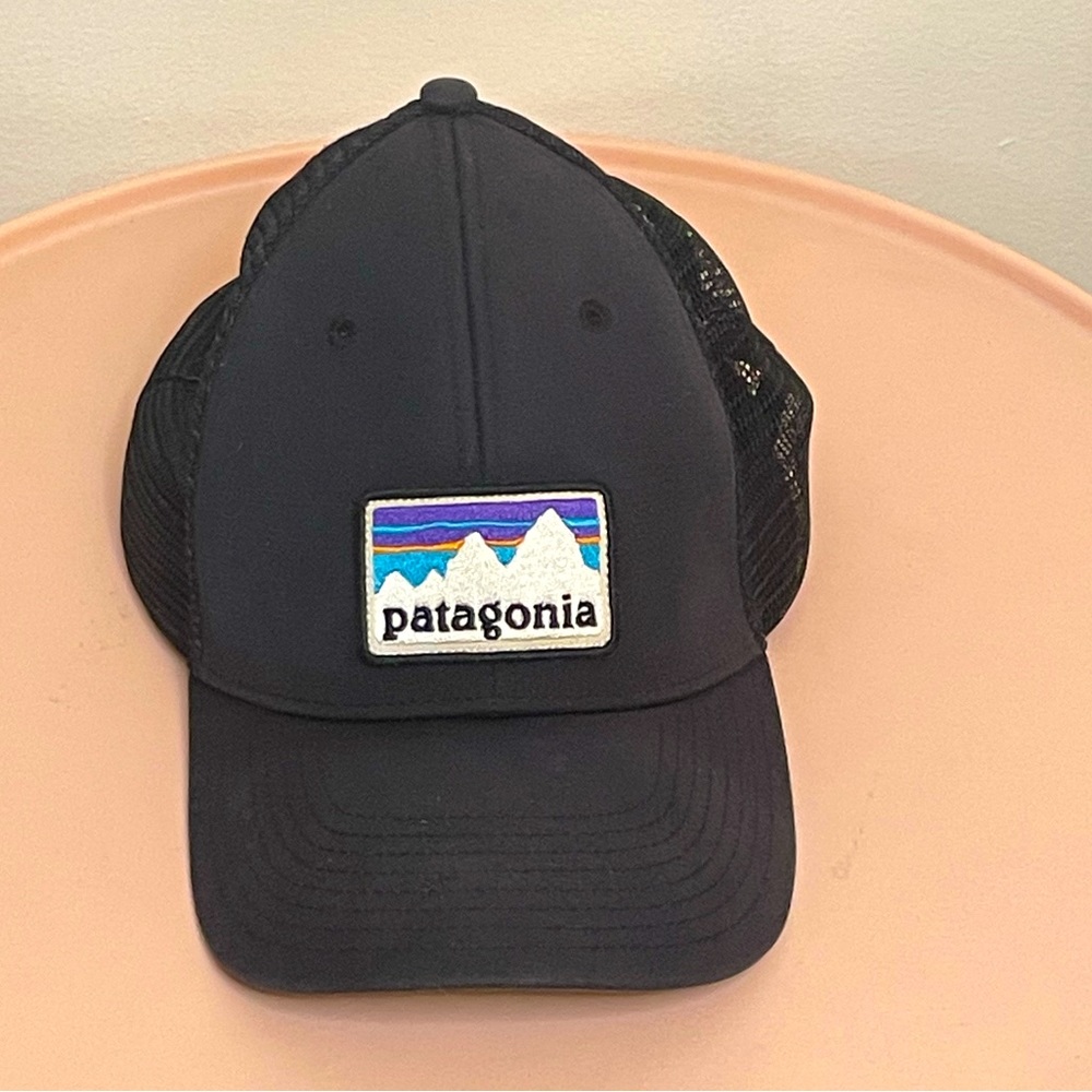 Patagonia Trucker Hat.